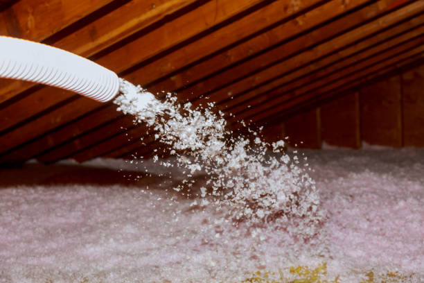 Best Professional Insulation Contractor  in Rangely, CO