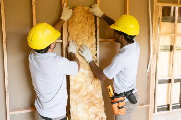 Best Insulation Contractors for Homes  in Rangely, CO