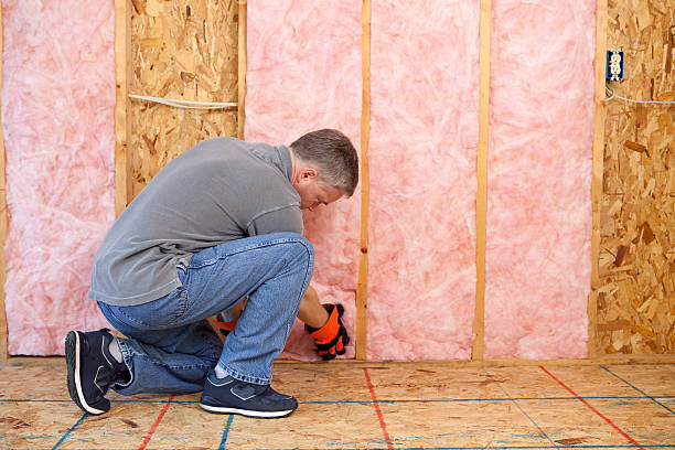 Best Insulation Contractors for Homes  in Rangely, CO