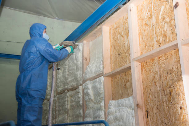 Best Insulation Inspection Services  in Rangely, CO